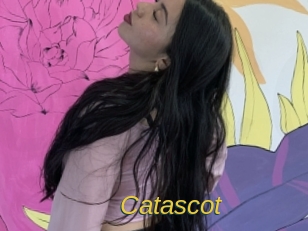 catascot Archive DVD ORG