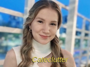 Cateclutter