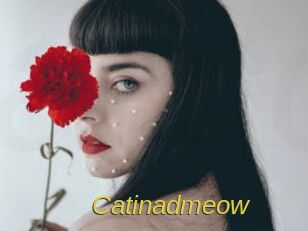 catinadmeow Archive DVD ORG