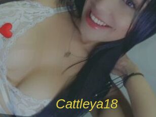 Cattleya18