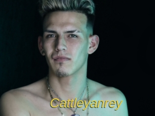 cattleyanrey Archive DVD ORG