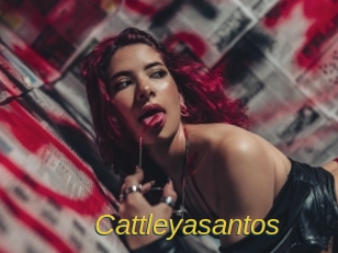 Cattleyasantos