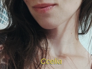 ccelia Archive DVD ORG