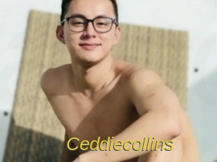 Ceddiecollins