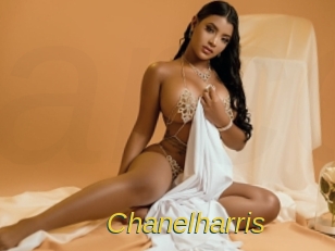 chanelharris Archive DVD ORG