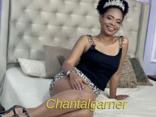 chantalgarner Archive DVD ORG