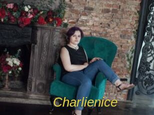 charlienice Archive DVD ORG