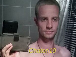 Chaton19