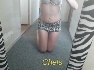 chels Archive DVD ORG