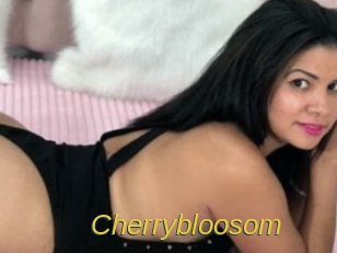 Cherrybloosom
