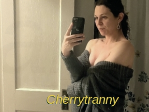 cherrytranny Archive DVD ORG