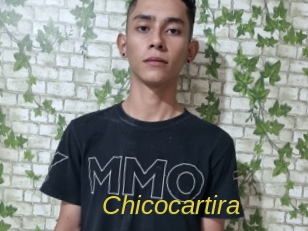 chicocartira Archive DVD ORG
