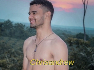 chrisandrew Archive DVD ORG