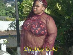 Chubby_bule