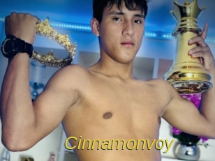 cinnamonvoy Archive DVD ORG