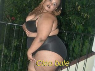 Cleo_bule