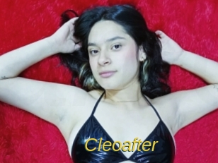 cleoafter Archive DVD ORG