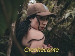 cleohecante Archive DVD ORG