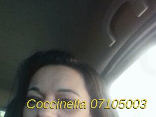 Coccinella-07105003