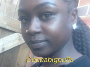 Cocoabigpuffs