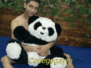 Collegegaym