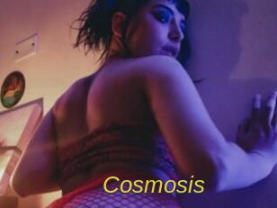 Cosmosis