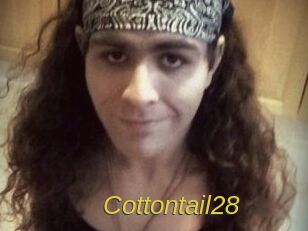 Cottontail28