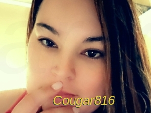 cougar816 Archive DVD ORG