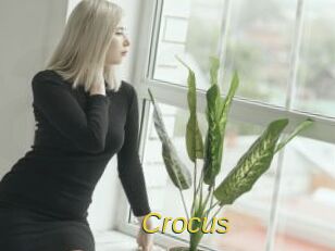 Crocus