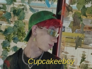 cupcakeeboy Archive DVD ORG