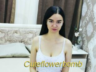 cuteflowerbomb Archive DVD ORG