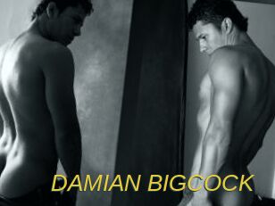 DAMIAN_BIGCOCK