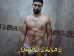 DAVID_ZANAS