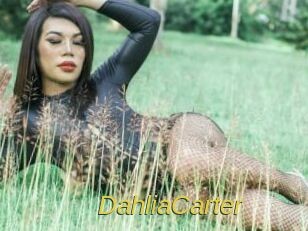 DahliaCarter Archive DVD ORG