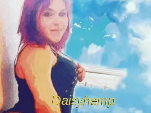 Daisy_hemp