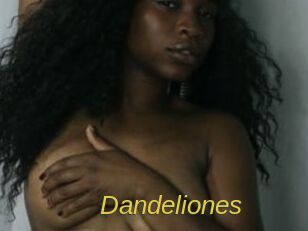 Dandeliones Archive DVD ORG