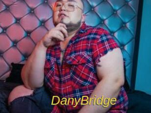 DanyBridge Archive DVD ORG