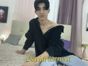 DavidHarmyn