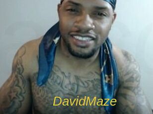 David_Maze