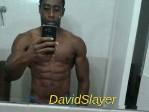 David_Slayer Archive DVD ORG