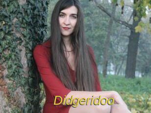 Didgeridoo