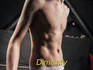 Dimandy Archive DVD ORG