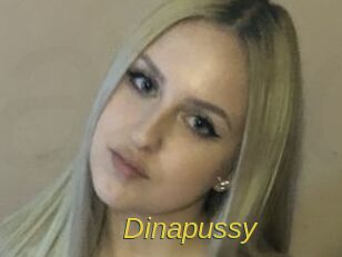 Dinapussy Archive DVD ORG