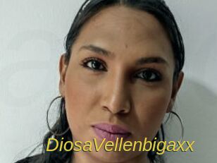 DiosaVellenbigaxx