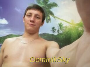 DominikSky