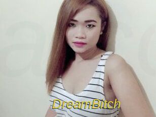 DreamBitch Archive DVD ORG