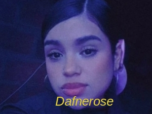 Dafnerose