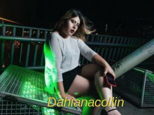 Dahianacollin