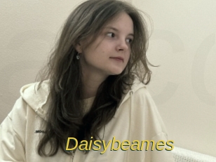 Daisybeames