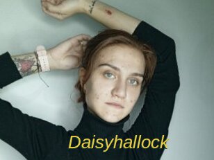 Daisyhallock